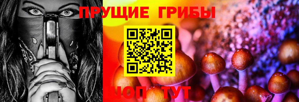 Обнинск  Псилоцибиновые грибы Magic Shrooms  Псилоцибиновые грибы мицелий  где купить наркоту  Вход с VPN 