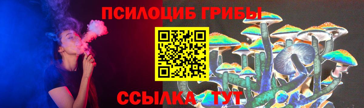 Галлюциногенные грибы Psilocybine cubensis Обнинск